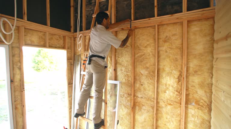 Types of Insulation We Offer in Oakland, FL